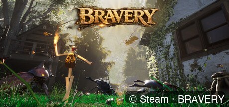 BRAVERY game cover