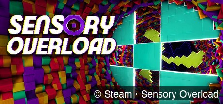 Sensory Overload game cover